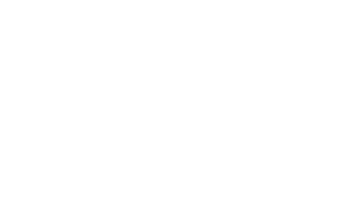 Nielsen Valuation Texas
