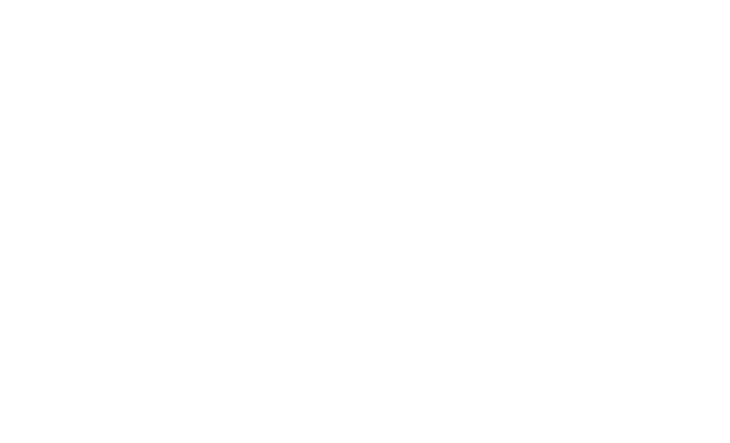Nielsen Valuation Texas