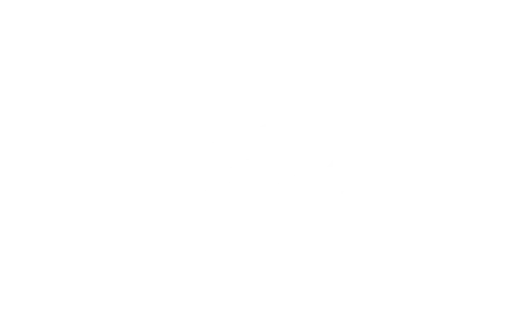 Nielsen Valuation Texas
