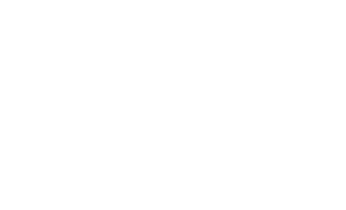Nielsen Valuation Texas